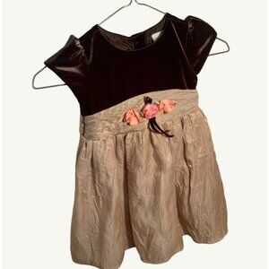 Girls Toddler  3T Dress by Youngland  Brown  Beige